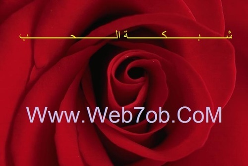 http://t.co/7IqWxMfUMF شبكة الحب