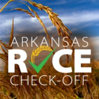AR Rice Board (@arriceboard) 's Twitter Profile Photo AR Rice Board (@arriceboard) 's Twitter Profile Photo
