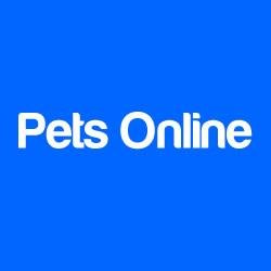 Pets Online. O Site Oficial dos Bichos. Amigo não se compra. Quer adotar um cãozinho? Procure aqui.