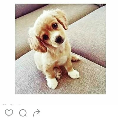 jennyfer1068's profile picture. Dessin Photographie Musique Rock Rap Basket Animaux mignons Animateurs & animatrices Mode Europe E-sport Studios & consoles Jeux vidéo Santé