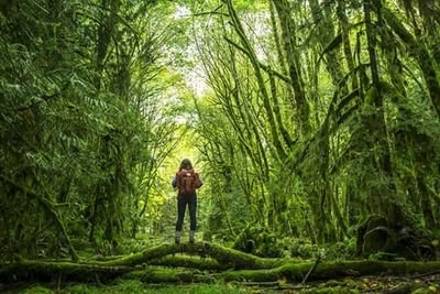 fady2163's profile picture. ‏حب الحياه