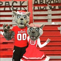 NC State StudyAbroad (@ncsustudyabroad) 's Twitter Profile