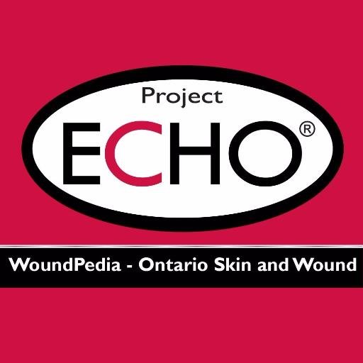 Collaboration between WoundPedia, Queens University and the Registered Nurses Association of Ontario to improve skin and wound care capacity in Ontario