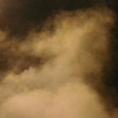 workload1259's profile picture. 