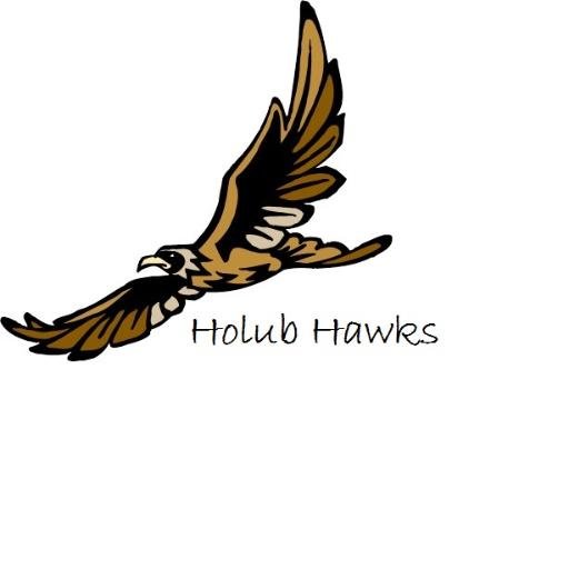 The official Twitter account for Holub Middle School in @Aliefisd. Managed by campus administrators. RTs are not endorsements.