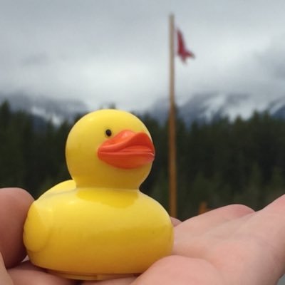Toulouse the Duck