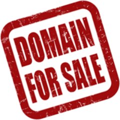 domainingga's profile picture. Domains for Branding and Business Development