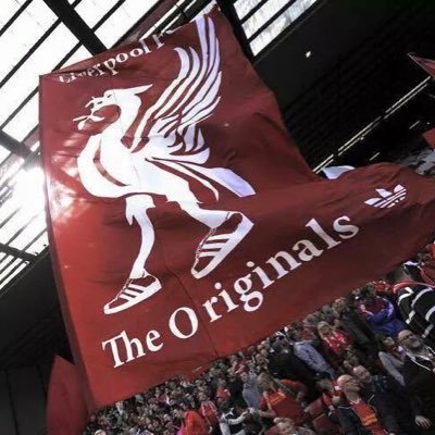 Lower Kemlyn ST holder, away day lover We See Things They'll Never See *****