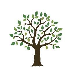 elmtreepsych's profile picture. Specializing in infant/toddler-parenting relationships. We are experts in Children's Mental Health and Wellness. Working with Individual's and Businesses.