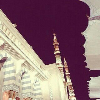 mosa_sue's profile picture. 