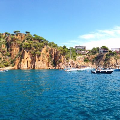 gerardcarreno2's profile picture. My bio is better than yours