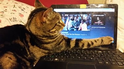 konagirl44's profile picture. 