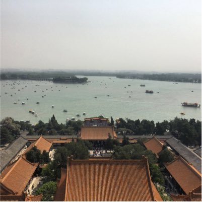 ericyang89's profile picture. twitter account