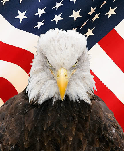 CynicalPatriot's profile picture. I love my country, but we're going off the rails. Independent voter who believes neither party represents us. Scared to death of a Trump administration.