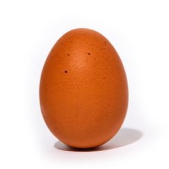 huevochupachups's profile picture. Temas de cocina