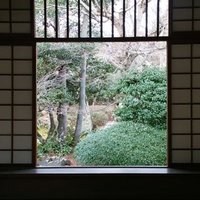 DDD (@writelefthand) 's Twitter Profile