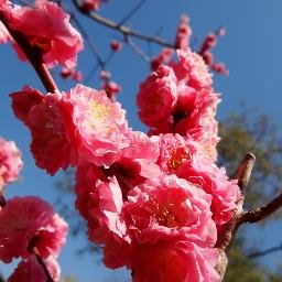 Jahangirkija1's profile picture. 