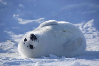 hirotoxwataru's profile picture. 1Gからの2H