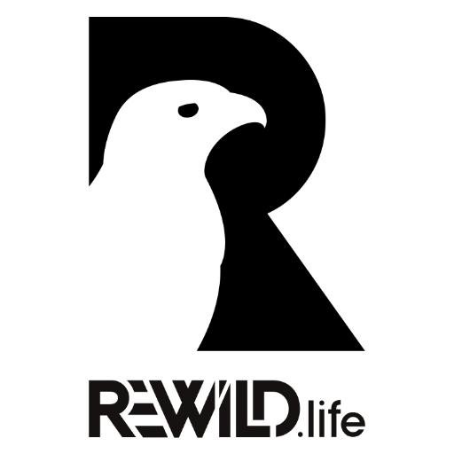 Raising awareness and funds for the rewilding of the U.K. through Art & Design.