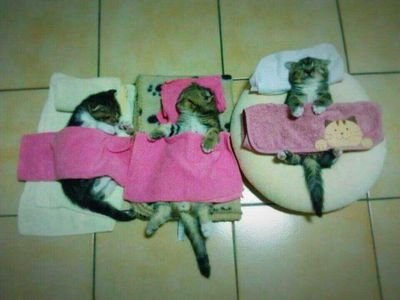 RnpKAz5pRWjsszl's profile picture. 