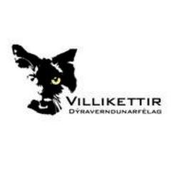 Villikettir (wildcats) is a non profit organization aimed at rescuing feral cats and kittens in Iceland. We practise TNR Trap Neuter Return