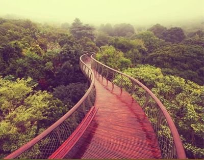 Si70Sofiene's profile picture. ‏‏‏السلام عليكم