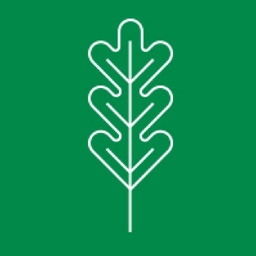 BVPS_TSDev's profile picture. Bournville Village Primary School has a strong track record of helping teachers and schools develop. @whiterosemaths Accredited Host School.