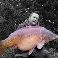 Duncan / simo (@duncan7711) 's Twitter Profile
