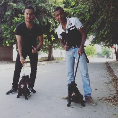 JulioCesarLuqu1's profile picture. Pin: 2A3072EF