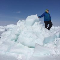 fishbee (@lafishbee) 's Twitter Profile