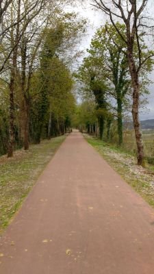 MiryamGmez1's profile picture. 