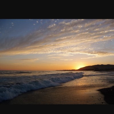 Coffee, curly, ocean,music,genxr, languages, Red Sox, learner