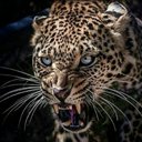 عين على الحياة . (@1970Bubassm) Twitter
