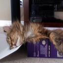 Ivana MacRay - @IvanaMacRay - Twitter