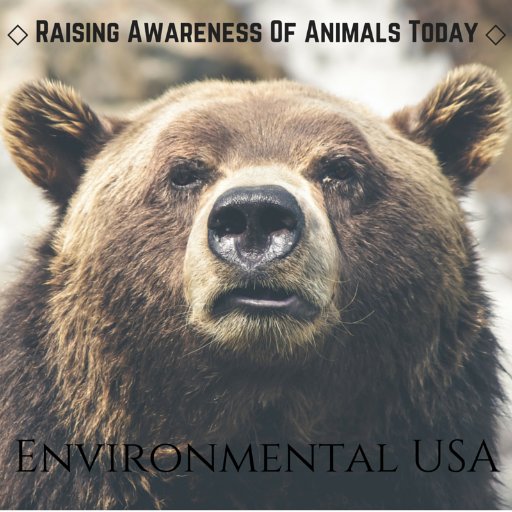 Environmental USA is an organization for awareness for endangered species. Animals go through many things that we don't experience. Let's help the ANIMALS.