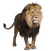 Lemonwood School (@lemonwoodlions) Twitter profile photo Lemonwood School (@lemonwoodlions) Twitter profile photo