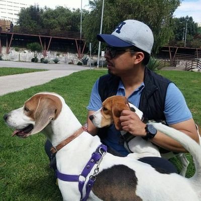 JCTolentino83's profile picture. 