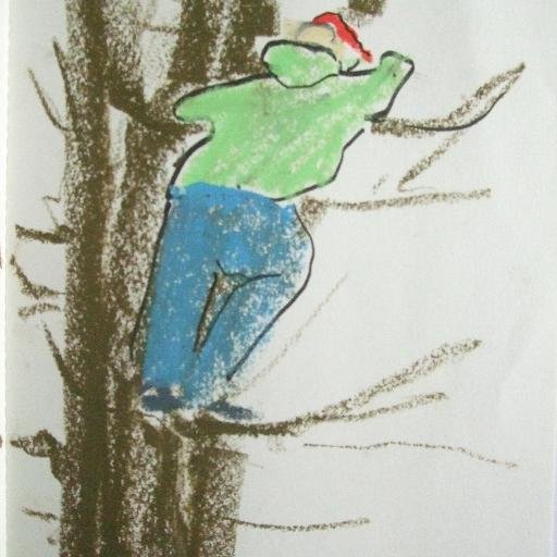 Noël O'Callaghanさんのプロフィール画像