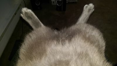 danprobb's profile picture. Football fan and car fanatic.