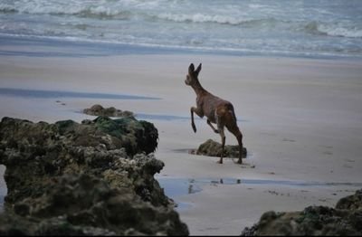 _GJames_'s profile picture. Un Valaisan ❄ en Normandie ⚓