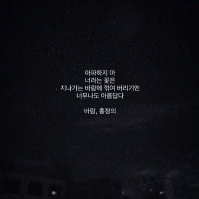 IT 미디어 테크 & 스타트업 문학