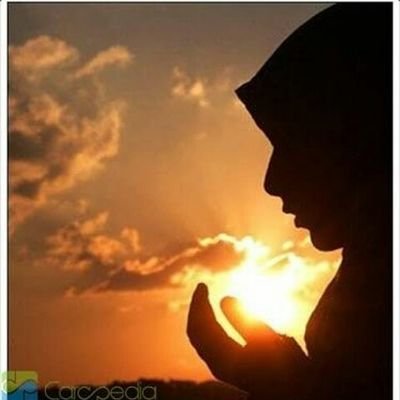 rifka_harahap's profile picture. Life Is Beautifull