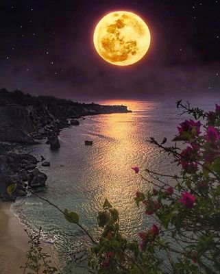 غروب القمر Starzoozooo666 Twitter