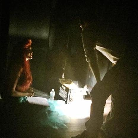 MisterGemme's profile picture. Educational Vining - Swerve