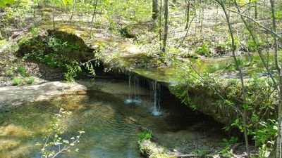 wishcomplainson's profile picture. I just complain and that's really it