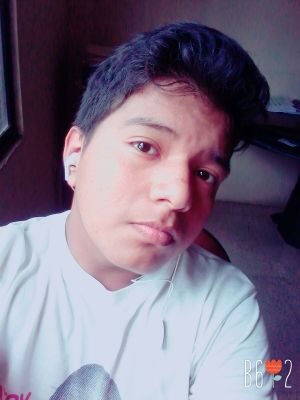 Wilson67071186's profile picture. 