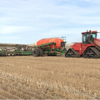 IanWilliamProc1's profile picture. grain grower