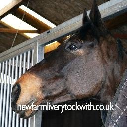 NewFarmLivery's profile picture. Livery based in Yorkshire