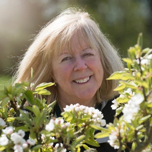 Flower & Nature Photographer 
 'RHS photographer of the year 2008'
IGPOTY 1st Places 'Gardens' & 'Beauty of Plants' 2020
Based in the New Forest, Hampshire, UK