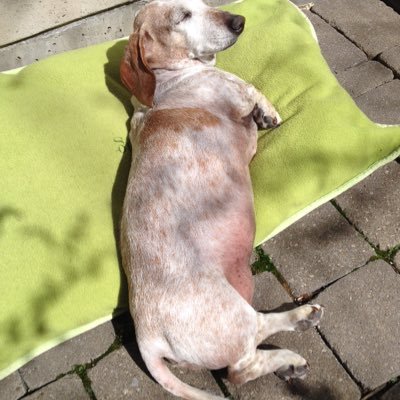 janiceingram13's profile picture. 